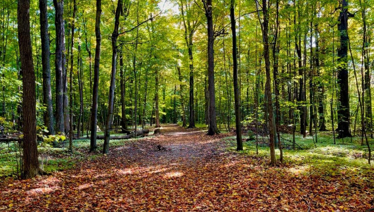 Apartmán Camping Bomont Henryville Exteriér fotografie